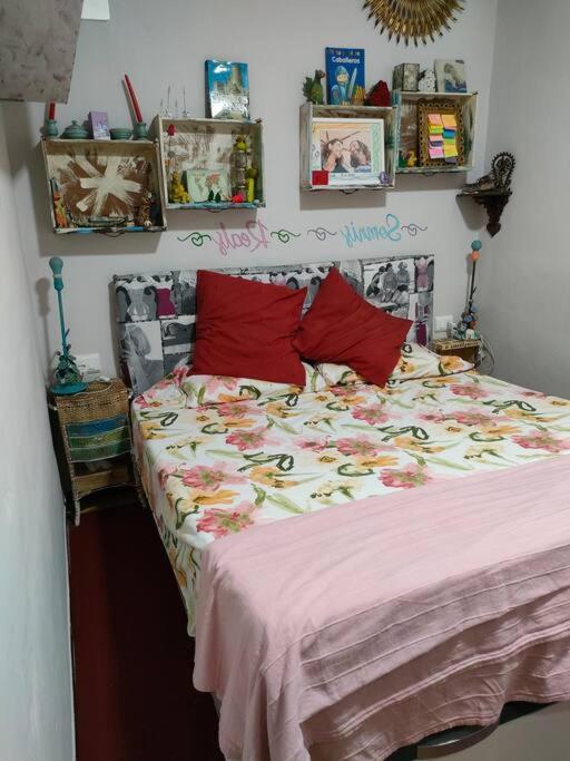 Apartament Volca Aiguanegra Sant Joan les Fonts Ngoại thất bức ảnh