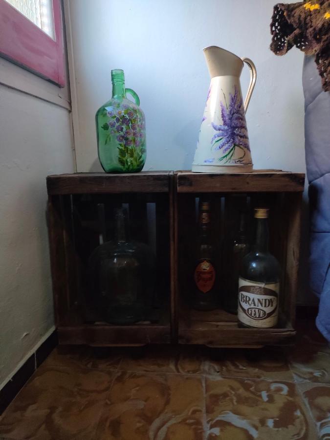 Apartament Volca Aiguanegra Sant Joan les Fonts Ngoại thất bức ảnh