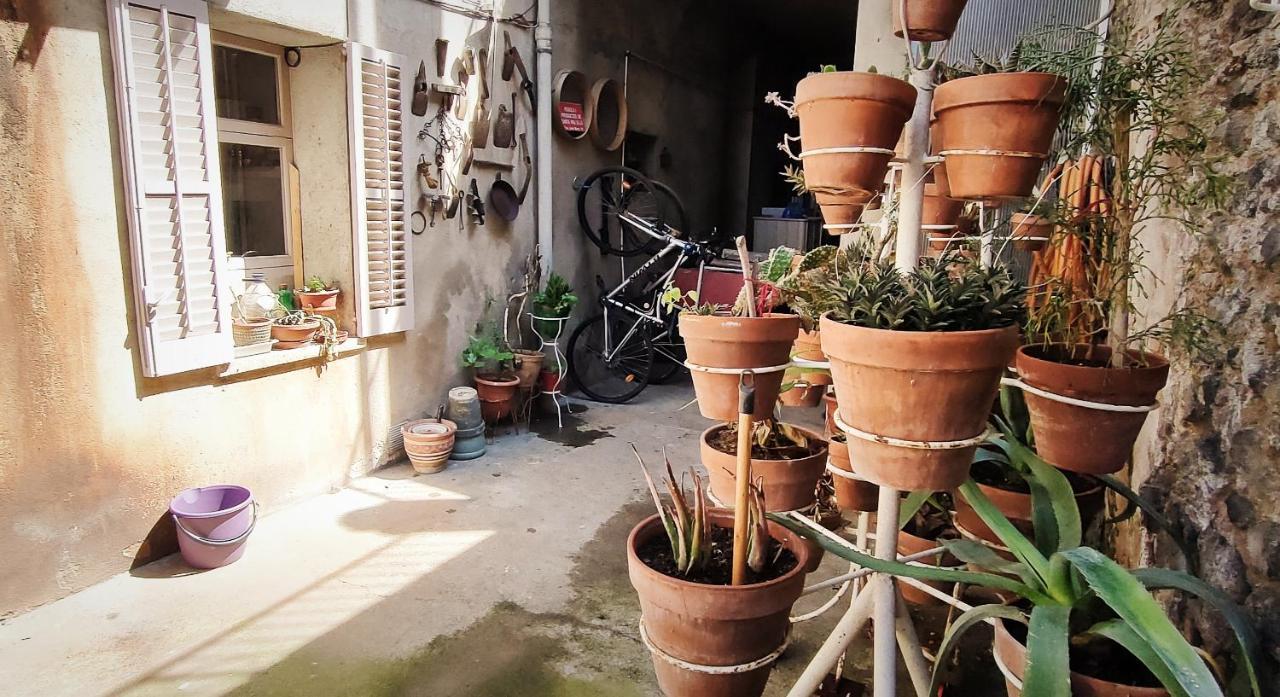 Apartament Volca Aiguanegra Sant Joan les Fonts Ngoại thất bức ảnh